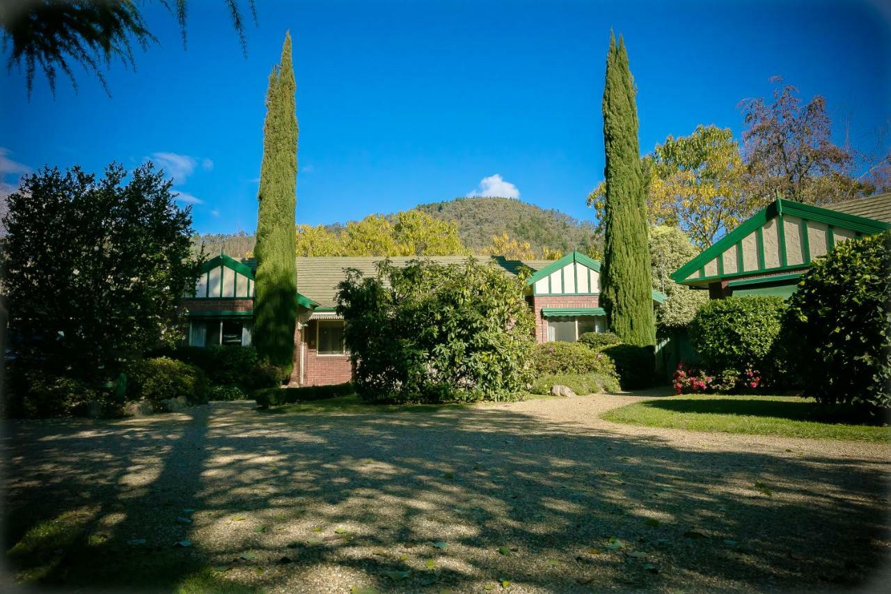 The Birch House - Silver Birches Accommodation Bright Exterior photo