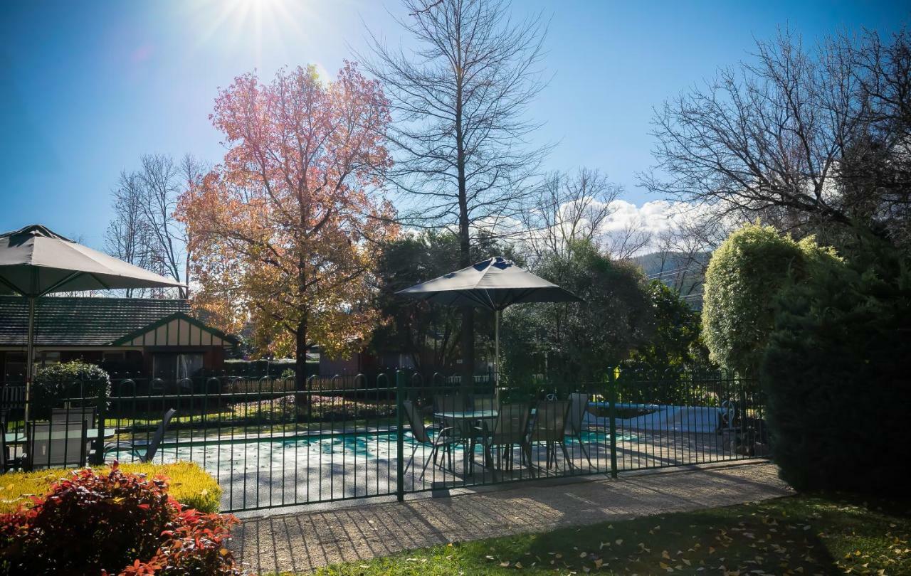 The Birch House - Silver Birches Accommodation Bright Exterior photo
